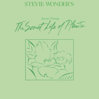 Stevie Wonder -  Journey Through The Secret Life of Plants